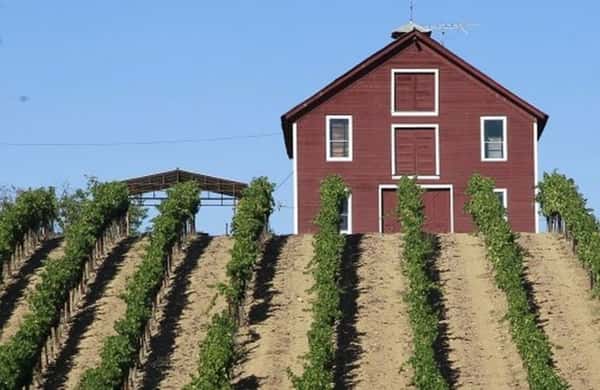 Harvest season calls for a closer look at the hands behind the vines 🍇 Join us at Murphy's Atlanta tomorrow at 06:00 PM for a walk-around tasting featuring five American wines shaped by organic farming, thoughtful winemaking, and a deep connection to the land. Expect a vibrant mix of styles and an evening made for curious sippers and wine lovers alike. 🍷

#MurphysAtlanta #WineTasting #AmericanWine #FarmersFirst