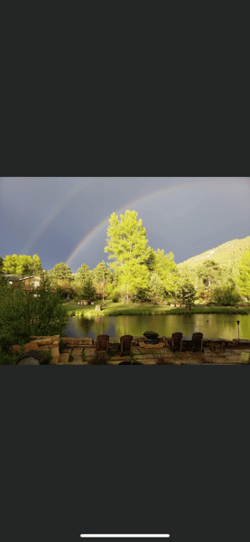 pond