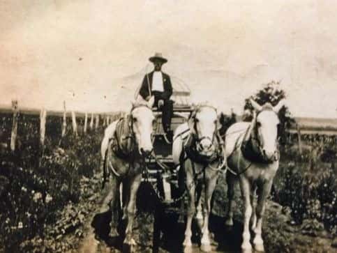 Farmer on horse drawn carriage