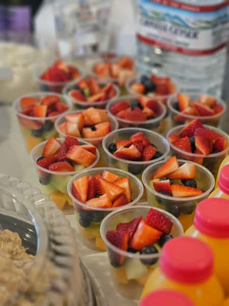 Personal Fruit Cups