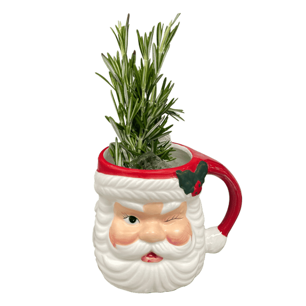 Christmas Punch