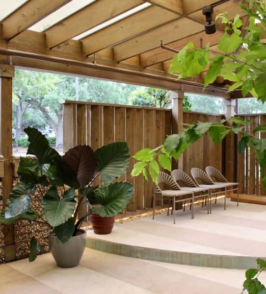 plants