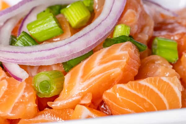 Salmon