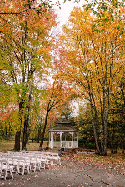 fall