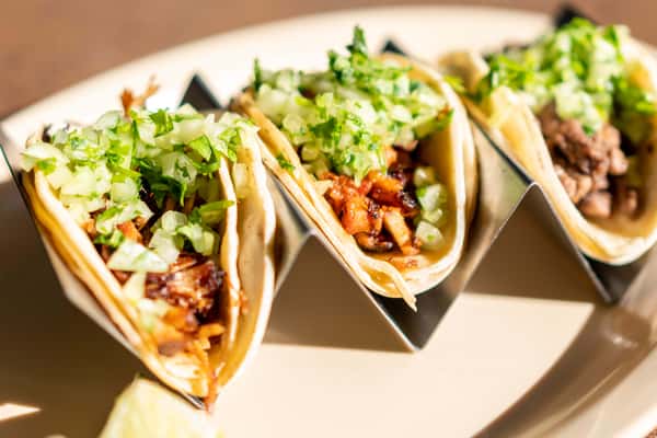 Three soft-shell tacos filled with seasoned grilled meat, shredded lettuce, diced tomatoes, and melted cheese, topped with fresh chopped cilantro. The tacos are neatly presented in metal taco holders, highlighting their colorful ingredients and fresh, flavorful Tex-Mex style presentation.