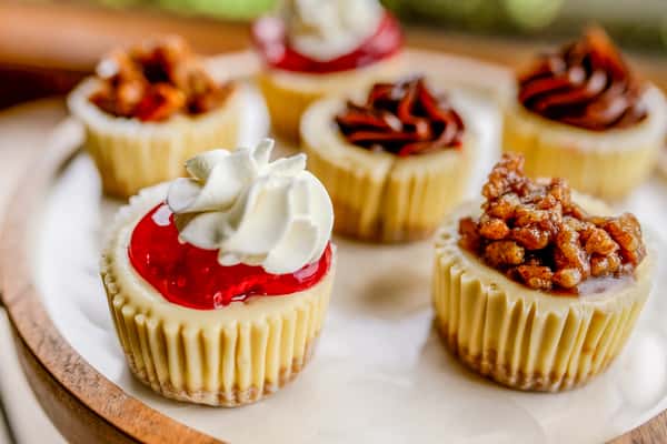 Cheesecake Bites