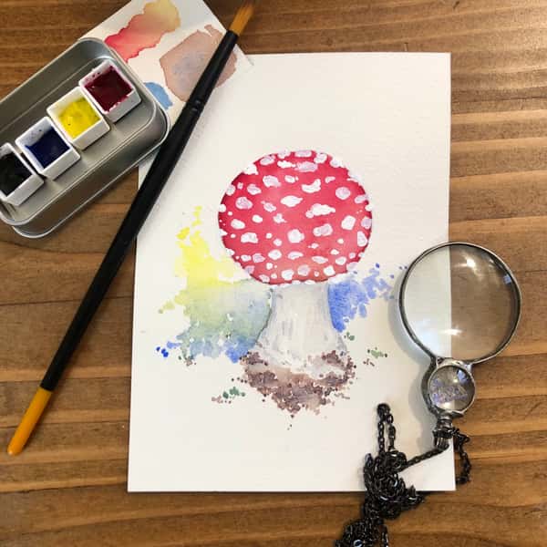 paint your palate: fungi feast with fine wine