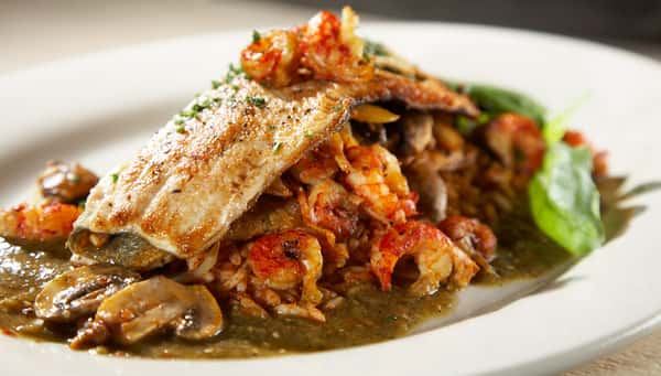 Mountain Trout