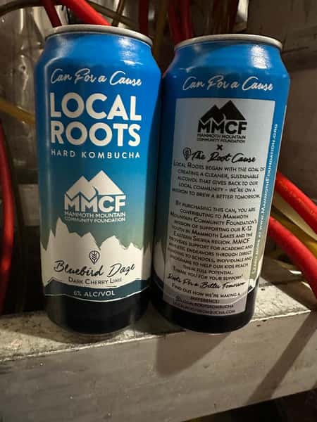 "NEW" BLUEBIRD DAZE KOMBUCHA-LOCAL ROOTS- 6% CAN