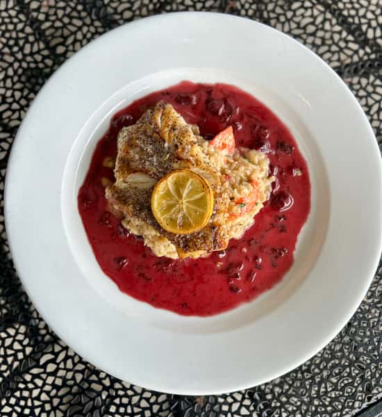 Fish of the Moment - GP