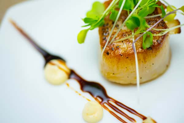 Scallop
