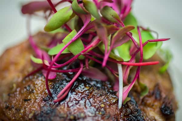 Steak