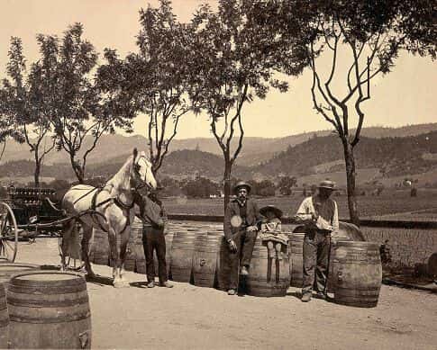 Beringer Winemaker Dinner with Ryan Rech