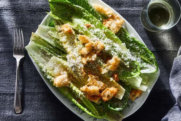 Caesar Terra Style
