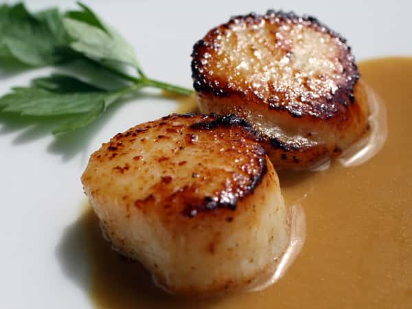 Expresso Dusted Seared New Bedford Sea Scallops