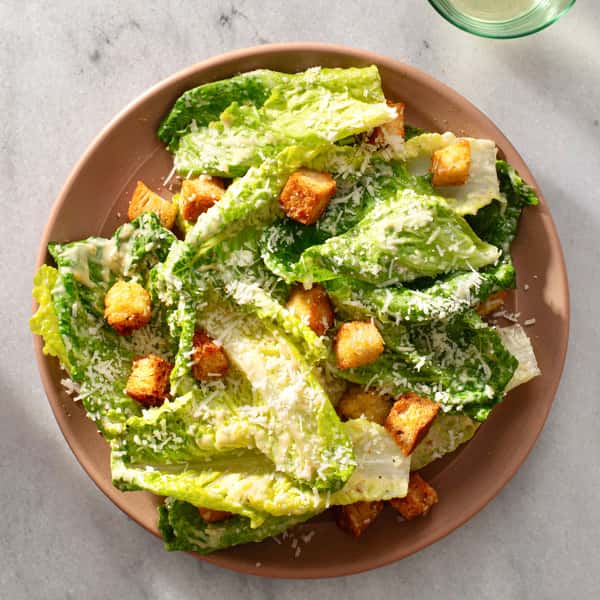 Caesar Terra Style