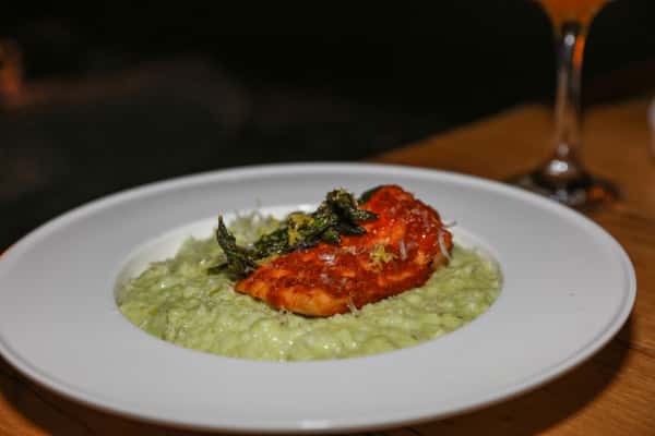 SALMON