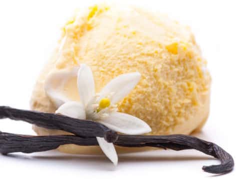 *Vanilla Bean Ice Cream