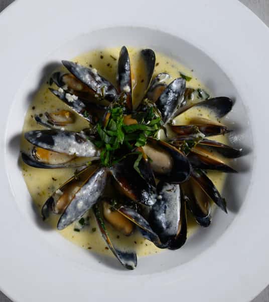 Mussels