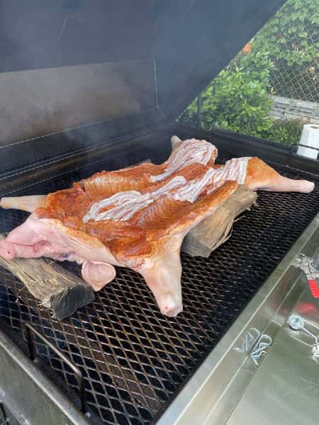 Pig