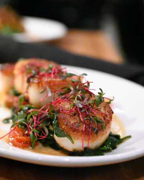 scallops