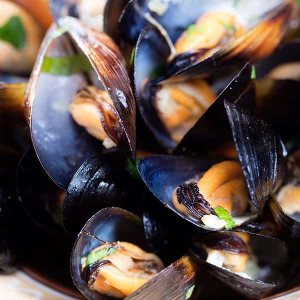 Thurs Mussels