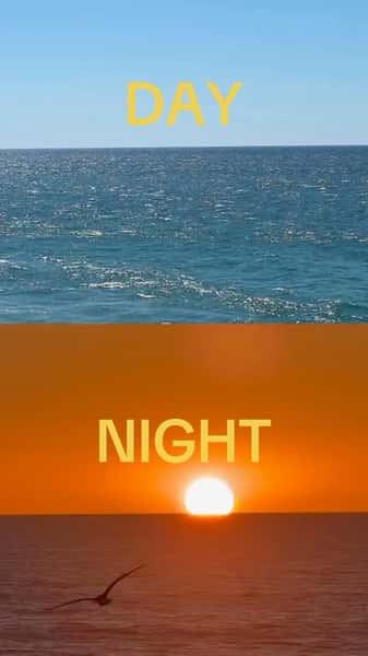 brunch, lunch, or sunset drinks. we got you covered!
day or night? let us know in the comments ๐๐ธ