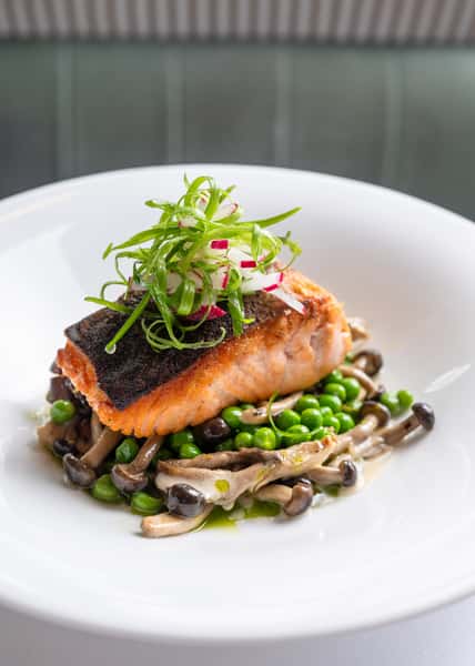 salmon