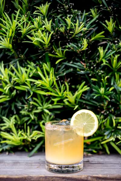 margarita