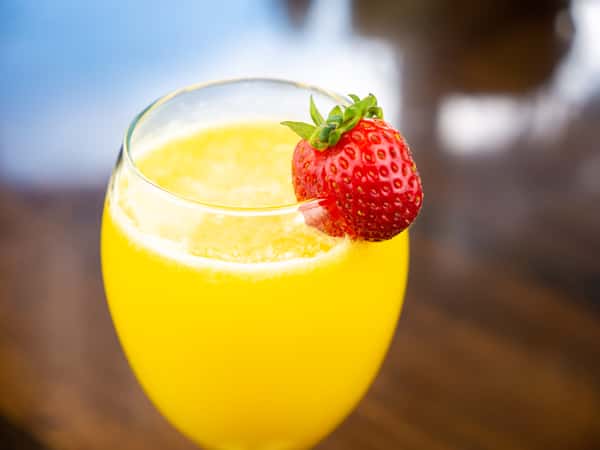 mimosa