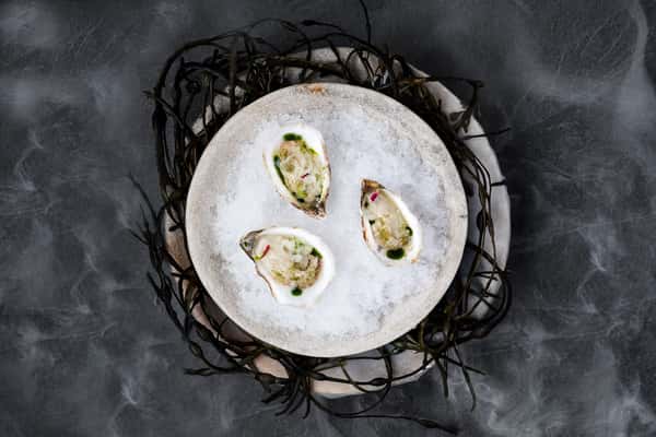 Oysters