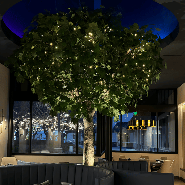 tree