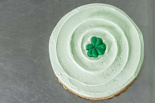 Mint Chocolate Cake