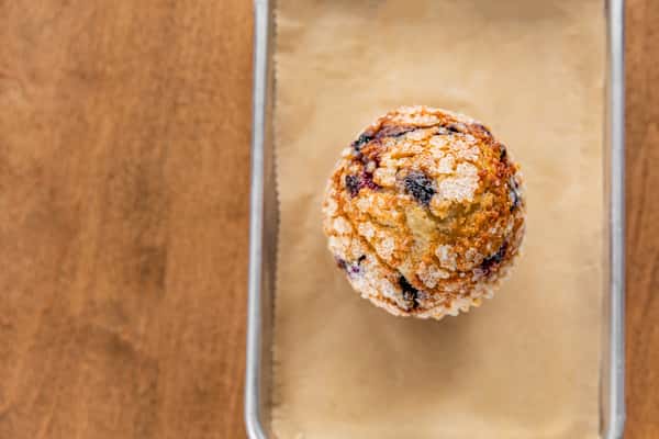 Blueberry Muffin