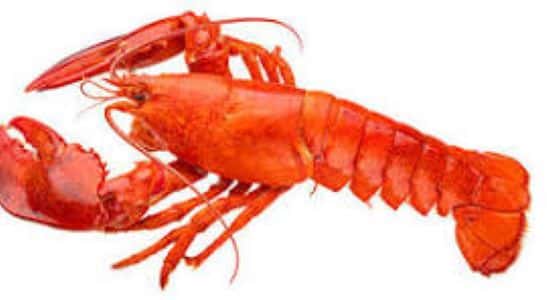 Lobster Fest!