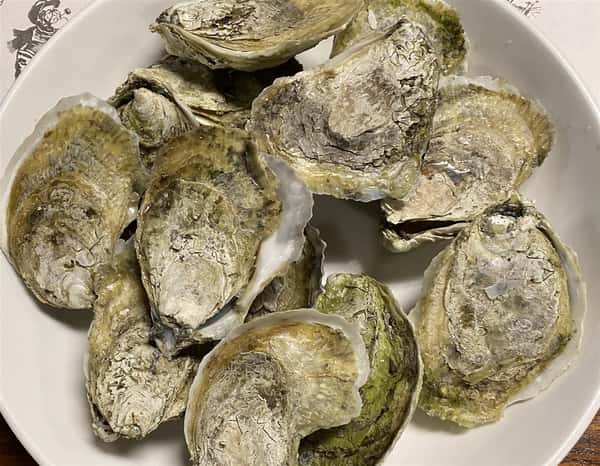 Fresh Shucked Oysters