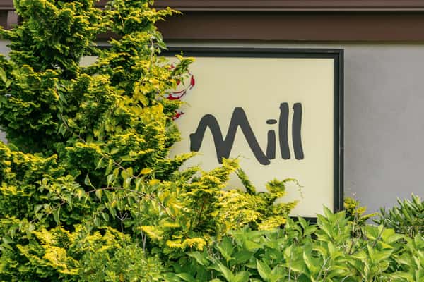 The Mill restaurant sign partially hidden by lush green landscaping and shrubs.