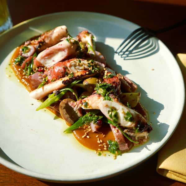 Berbere Octopus