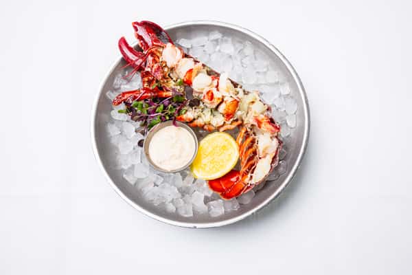CHILLED MAINE LOBSTER