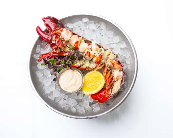 Chilled Maine Lobster