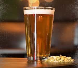 light beer filled pint glass