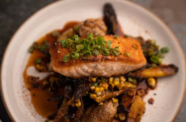 Salmon