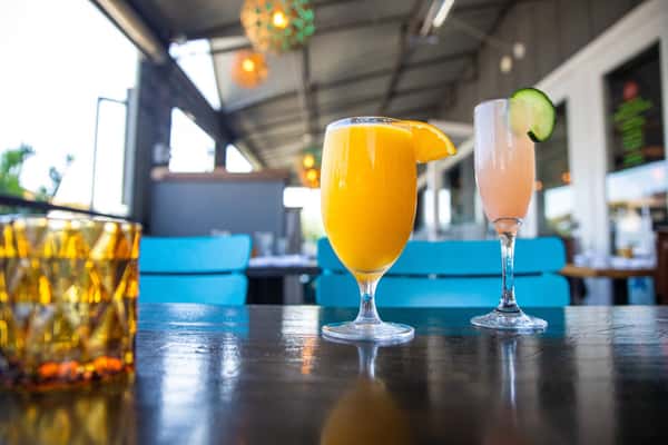 Mimosa