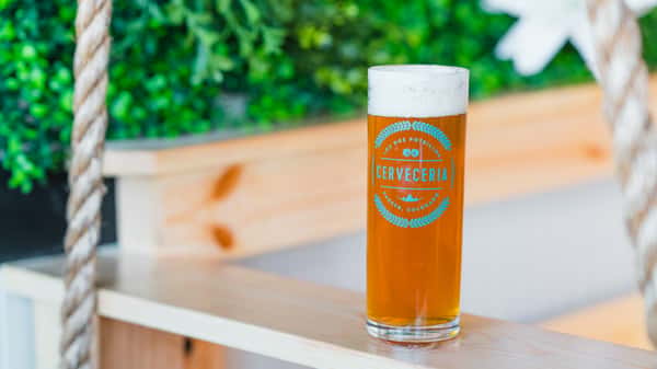 Beer on bench