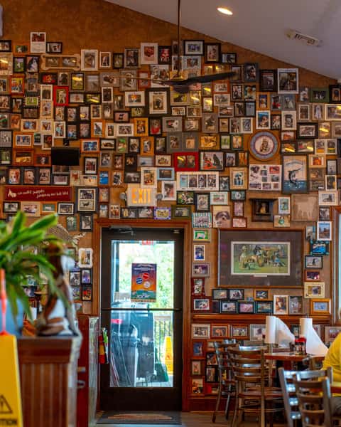 Dog Wall