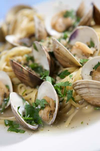 Fresh Clams