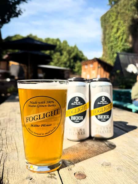 What does it mean to be a local business? 

At Fogtown, we really get a kick out of using Maine ingredients, and working with other local businesses and farmers. The Foglight Maine Pilsner really epitomizes this:

The grain in this beer is 100% Maine grown & malted by our friends @mainemalthouse and @blueoxmalthouse 
Brewed in Maine-made stainless tanks, at our humble Ellsworth taproom. 

Spent grains go to local farms and compost facilities like @peggy_rockefellerfarm who uses it as feed for their chickens and lambs, and @chickadeecompost who turns it into compost! 

Thanks for supporting us so we can keep doing what we love and supporting our community!

#smallbusiness #smallfarm #maine #spentgrain #compost