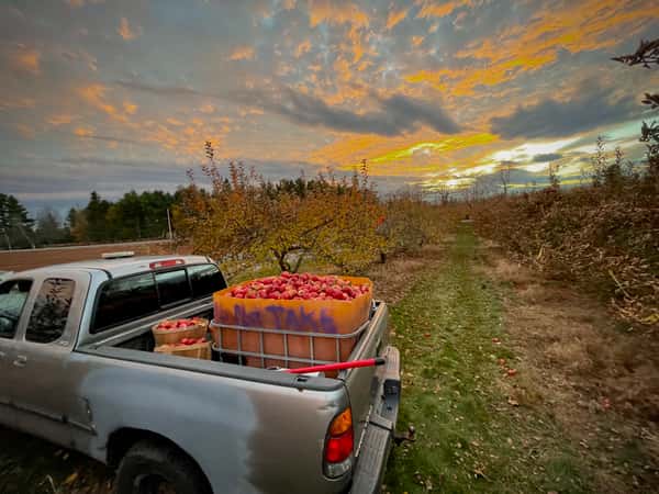 Fogtown truck loaded with foraged apples for the cider season