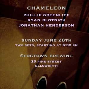 Chameleon poster
