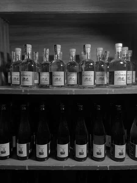 A selection of fogtown cider bottles, featuring our pommeau